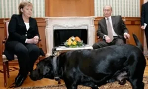 Bà Merkel không chấp nhận lời xin lỗi của ông Putin về 'sự cố chó cưng'