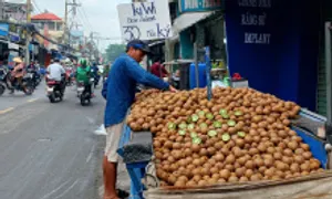 20.000 đồng một kg kiwi xanh Trung Quốc