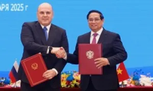 Nga sẵn sàng tham gia xây dựng ngành điện hạt nhân ở Việt Nam Nga sẵn sàng tham gia xây dựng ngành điện hạt nhân ở Việt Nam