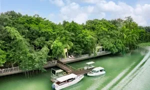 Khu nghỉ dưỡng như khu rừng nhiệt đới ven sông Sài Gòn Khu nghỉ dưỡng như khu rừng nhiệt đới ven sông Sài Gòn