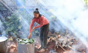 H'Hen Niê gói bánh tét tặng buôn làng ngày Tết H'Hen Niê gói bánh tét tặng buôn làng ngày Tết