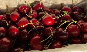 Gần 2 triệu đồng một kg cherry nhập khẩu cận Tết Gần 2 triệu đồng một kg cherry nhập khẩu cận Tết