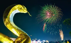 Pháo hoa mừng Tết Ất Tỵ trên cả nước Pháo hoa mừng Tết Ất Tỵ trên cả nước