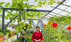 Khu vườn sân thượng 'như tranh vẽ' của người phụ nữ Đồng Nai