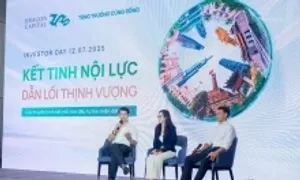 Chiến lược đầu tư của quỹ DCDS